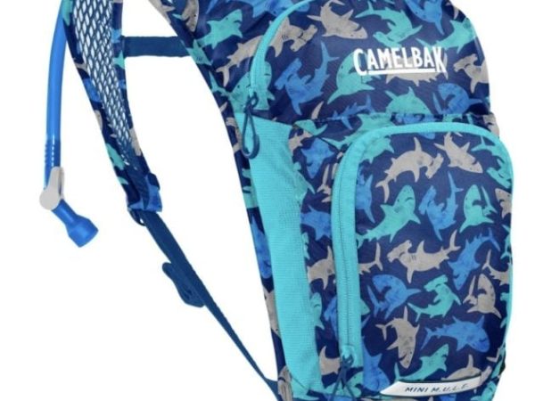 *HOT* CamelBak Mini M.U.L.E. 50 oz Hydration Pack only $12.34 (Reg. $25!)